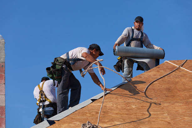 Best Gutter Installation and Roofing  in Canadian Lakes, MI