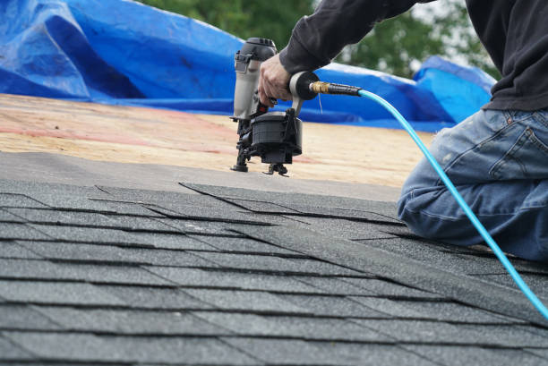 Best Roof Waterproofing Services  in Canadian Lakes, MI