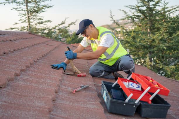 Best Residential Roofing Contractor  in Canadian Lakes, MI