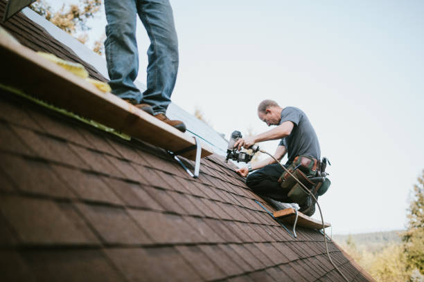 Residential Roof Replacement in Canadian Lakes, MI